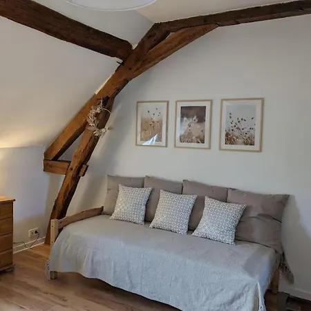 Maison Dans Belle Longere - La Serrerie Le Controis-en-Sologne Exterior foto
